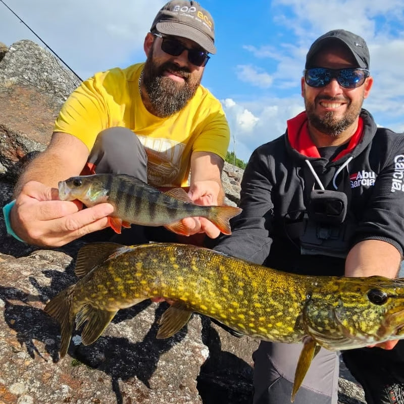 2024 julekalender med fiskeudstyr