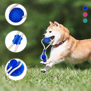 Multifunktionelt kæledyrs bidelegetøj