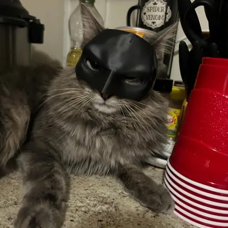 Batman kattemaske