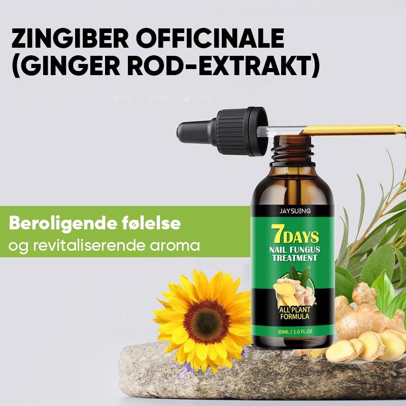 Ingefær essens til neglebehandling