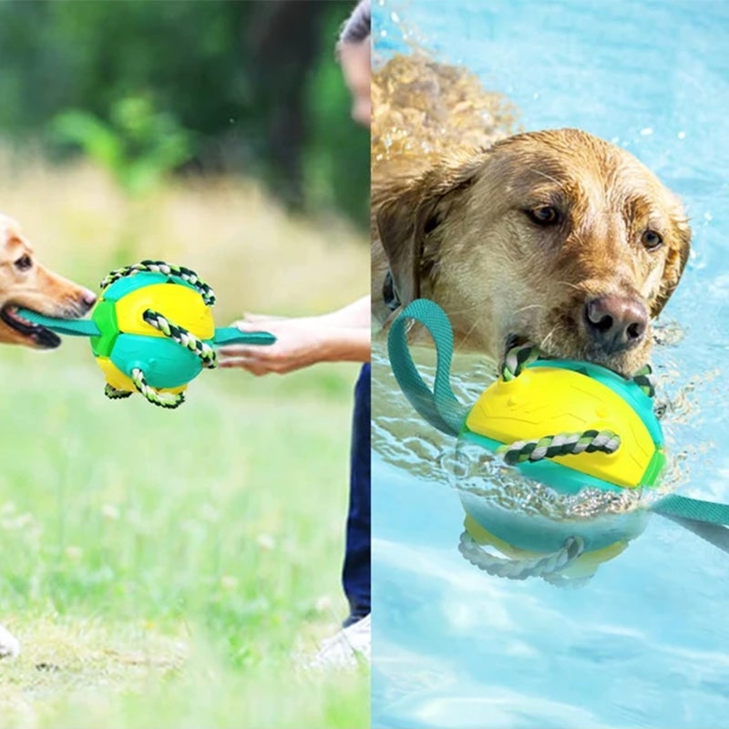 Tygge, squashbar UFO-bold til hund