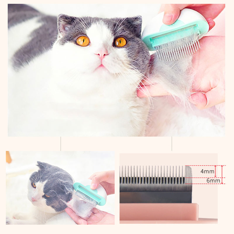 Hair removal cat and dog massage comb