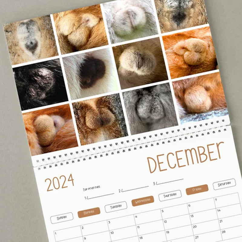 Sjov 2024 kalender med kattekugler