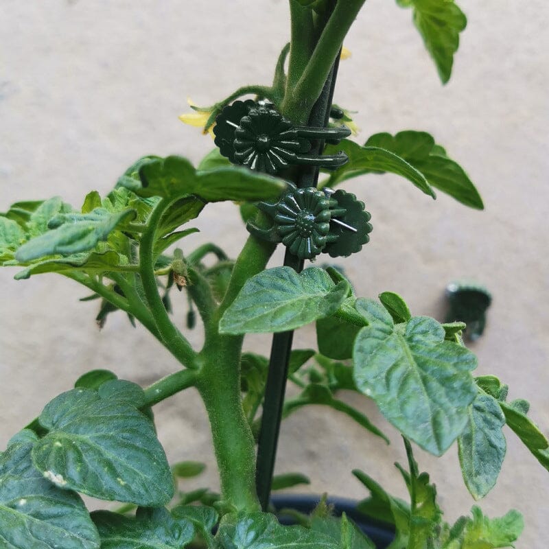 Planteklemmer