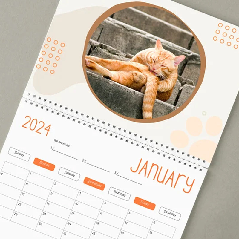 Sjov 2024 kalender med kattekugler