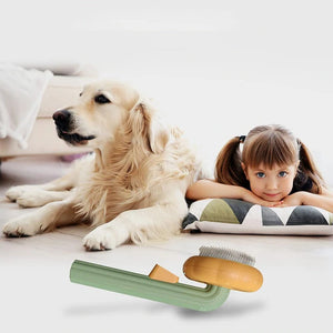 Græskar Pet Kæmning Børste