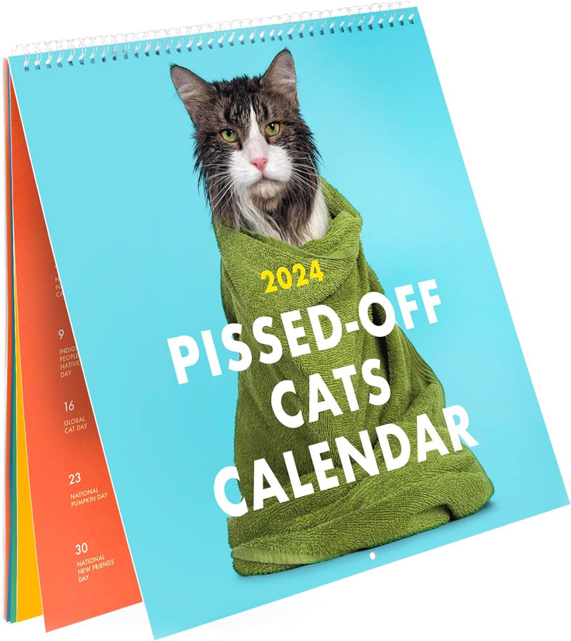 2024 Kalender med vrede katte
