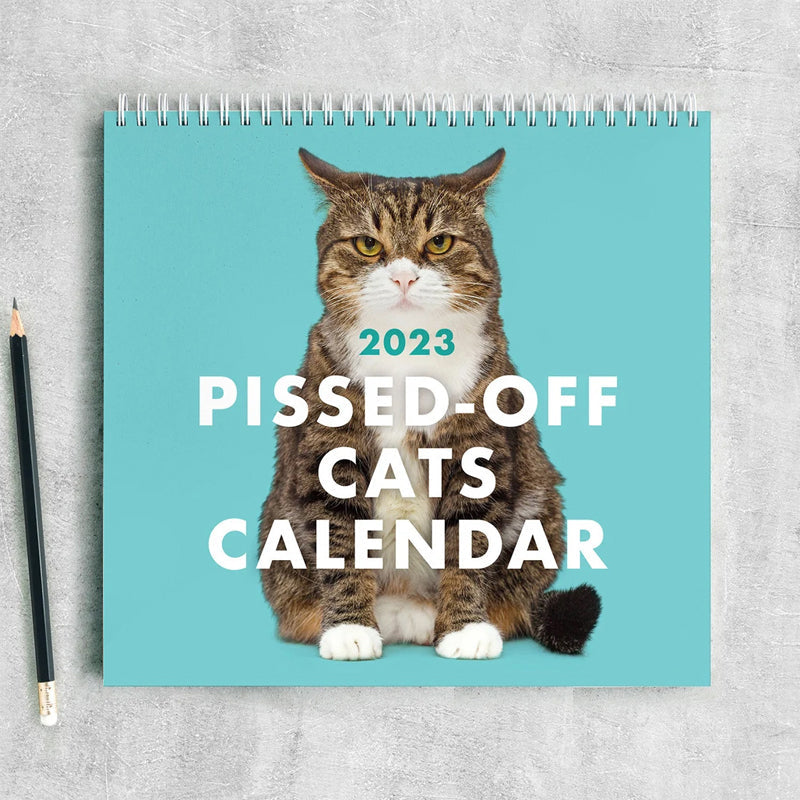 😾2024 Kalender med sure katte