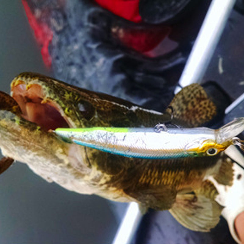 Fishing lures