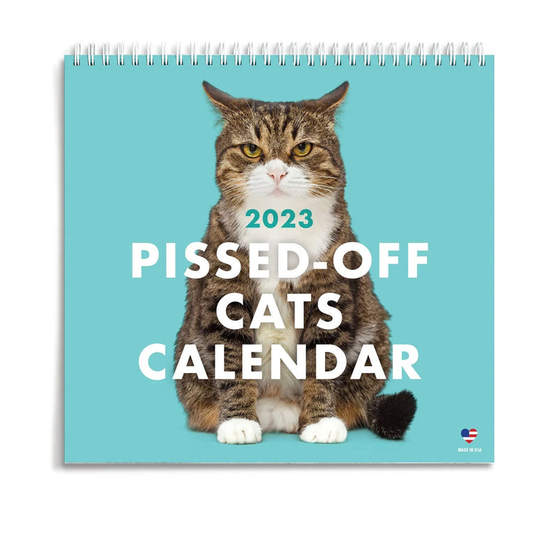 😾2024 Kalender med sure katte